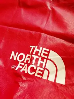 レア THE NORTH FACE スタッフバッグ レッド