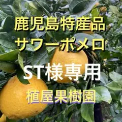 （鹿児島特産品）ST様専用 サワーポメロ 箱満杯詰