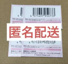 櫻坂　くじ　エンタメチャンス