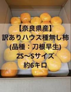 ハウス柿 箱込み2キロ C品と100g以下のプチッと柿 なおキングの柿
