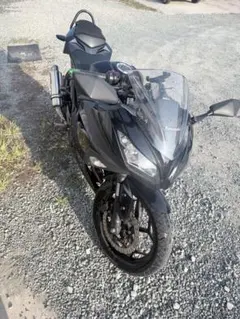 2026年最新】NINJA250 EX250Lの人気アイテム - メルカリ