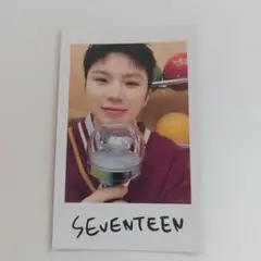 SEVENTEEN ウジ Holiday インスタントフォト チェキ
