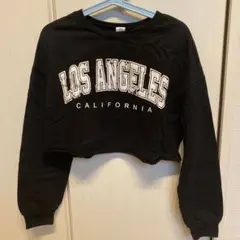 SHEIN LOS ANGELES クロップド丈 長袖カットソー 10Y