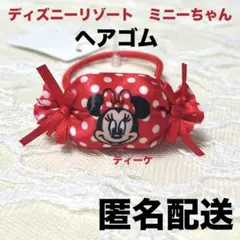 匿名配送　ディズニーリゾート　ミニーちゃん　ヘアゴム　１つ
