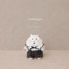 2302. はむにぎり ぬい服 ෆ̈ レース つけ襟 & サロペット