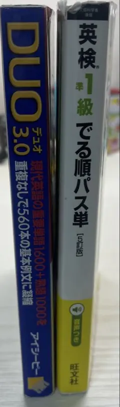 Item thumbnail for item ed076931-2eaa-4328-9cf8-8e48e4a8c5bb