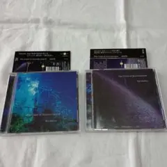 Rei Naito The Color of Soundscape II & I