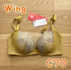 Item thumbnail for item 9802e665-181e-4afb-af3a-65a528d487a1