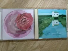 アンドレ・ギャニオンCD2枚