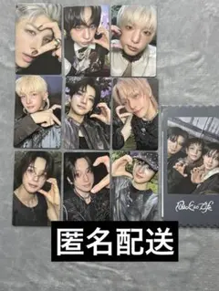 &TEAM Back to life weverse global コンプセット