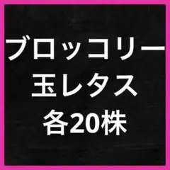 Yoshi様 リクエスト 2点 まとめ商品