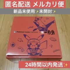 ポケモンセンター 福岡限定 一風堂 有田焼 ラーメン どんぶり 赤丸