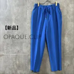 Item thumbnail for item 64d27e9d-37ea-4c73-9a2d-e41736102e4d