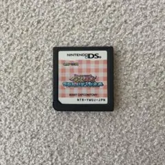 ワンタメ　うらないチャンネル　DSソフト