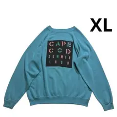 90s USA製 Hanes スウェット XL サックスブルー 視力検査 水色