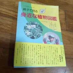 Item thumbnail for item be5f78f5-9e1a-4f62-a9bb-599149640738