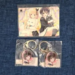 【ソラ様　専用】パスケース・キーホルダー (C6・D9*2)