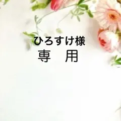 ひろすけ様 リクエスト 2点 まとめ商品