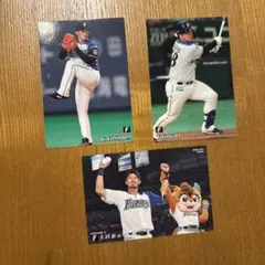 北海道日本ハムファイターズ ハイライトフォト 西川遥輝 2016年 - メルカリ