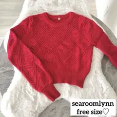 美品 SeaRoomLynn シールーム コットン ハート ニットプルオーバー