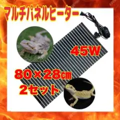 Item thumbnail for item ac6b10a5-ab3e-4be9-ae31-38bfed304845