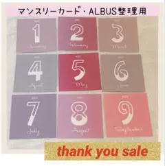 2606 [당일발송] ★ 인기만점 ★ 월간 카드, 연령표, 알버스, 정리용