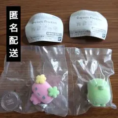 カプセルフロッキーズ　たまごっち　くちぱっち　ふらわっち
