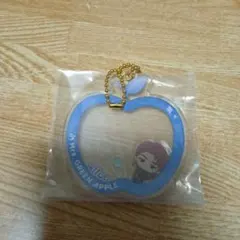 Mrs.GREENAPPLE　一番くじ　E賞 シャカシャカアクリルチャーム