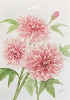 ダリア3 水彩画　原画のサムネイル