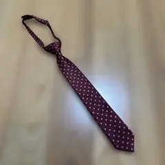 Item thumbnail for item edbc18ff-d01c-4129-9238-84c1e0f81f11