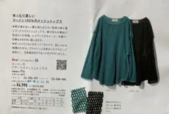 Item thumbnail for item 1eb14ddd-6d75-4716-9060-0e1ed8f8b0ba