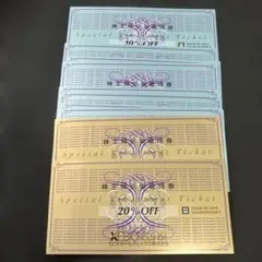 ゼビオ 株主優待券 20％割引券2枚 10％割引券8枚 XEBIO ヴィクトリア