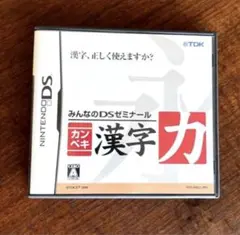 カンペキ漢字力 みんなのDSゼミナール