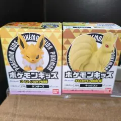ポケモンキッズ☆サンダース＆キュウコン☆キミとポケモンの出会い編☆☆