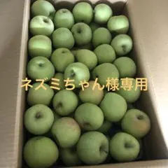 ＊ネズミちゃん様専用＊　加工用　摘果りんご　資材込み10キロ！