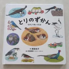 とりのずかん　あいうえお　絵本　えほん