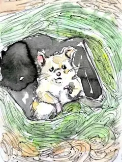 手描きイラスト ハムスター