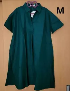 Item thumbnail for item b62c93a9-7887-49ef-b014-7ddcea9630a5