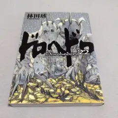 ドロヘドロ 22巻　初版　 林田球 月刊IKKI　送料無料