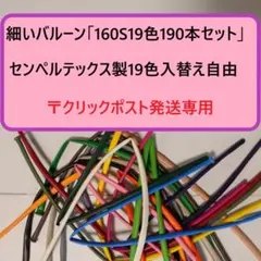 160Sの細いバルーン「19色190本入りセンペルテックス製」