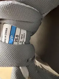 MIZUNO スニーカー 25cm ホワイト 通学 体育 部活