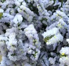 maruko様専用♪No.2