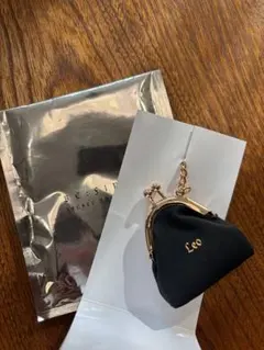 BEFIRST secret coin case LEO