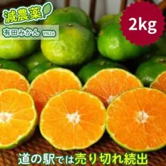 みかん出品 スーパーのみかん