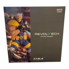 海洋堂 アメイジングヤマグチ ケーブル Ver.1.5 - メルカリ