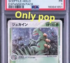 世界に1枚のみ！【PSA1】 ジュカイン ホロ 2003 ポケモンカード