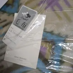 毛布のサムネイル