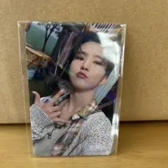 seventeen seventeenth heaven トレカ　ホシ