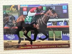 2026年最新】ブリーダーズカップの人気アイテム - メルカリ