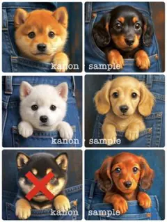 P301 パネル生地　柴犬　ダックスフンド　18×18 6枚1セット